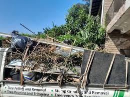 Best Commercial Junk Removal  in Lemon Grove, CA